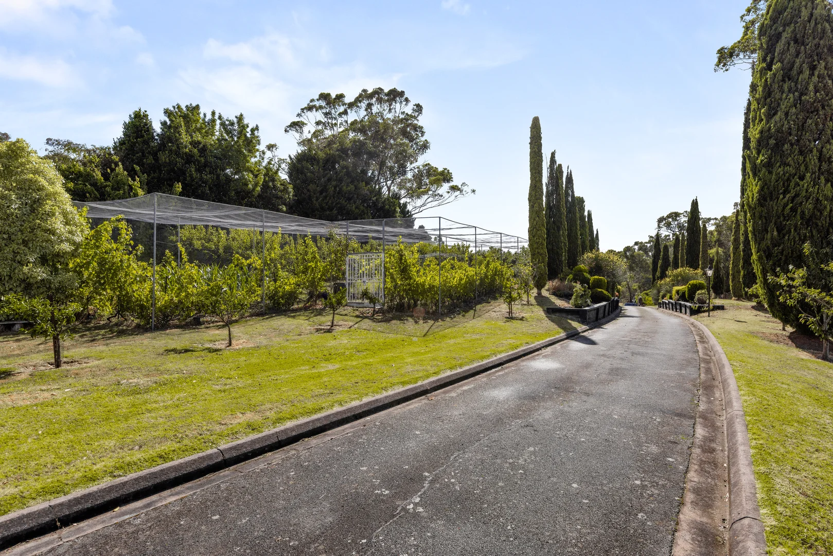 Additional image 6 of 71-79 Knees Road, Park Orchards VIC 3114