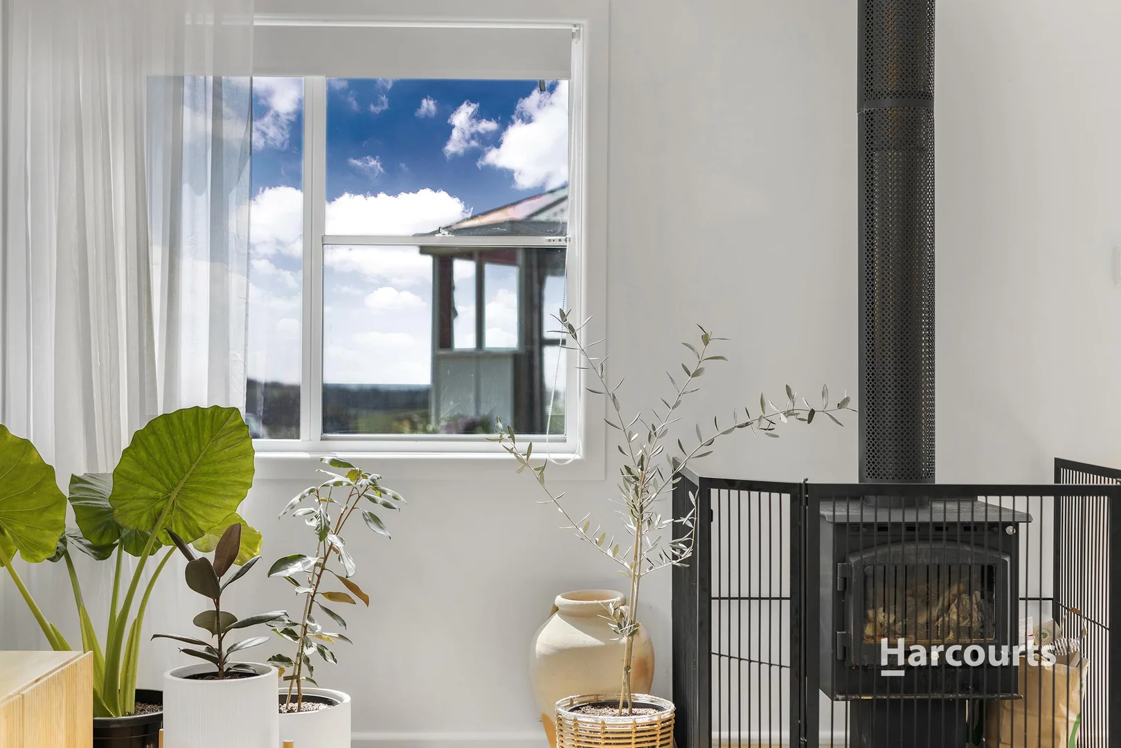 Additional image 15 of 734 Ridgley Highway, Ridgley TAS 7321