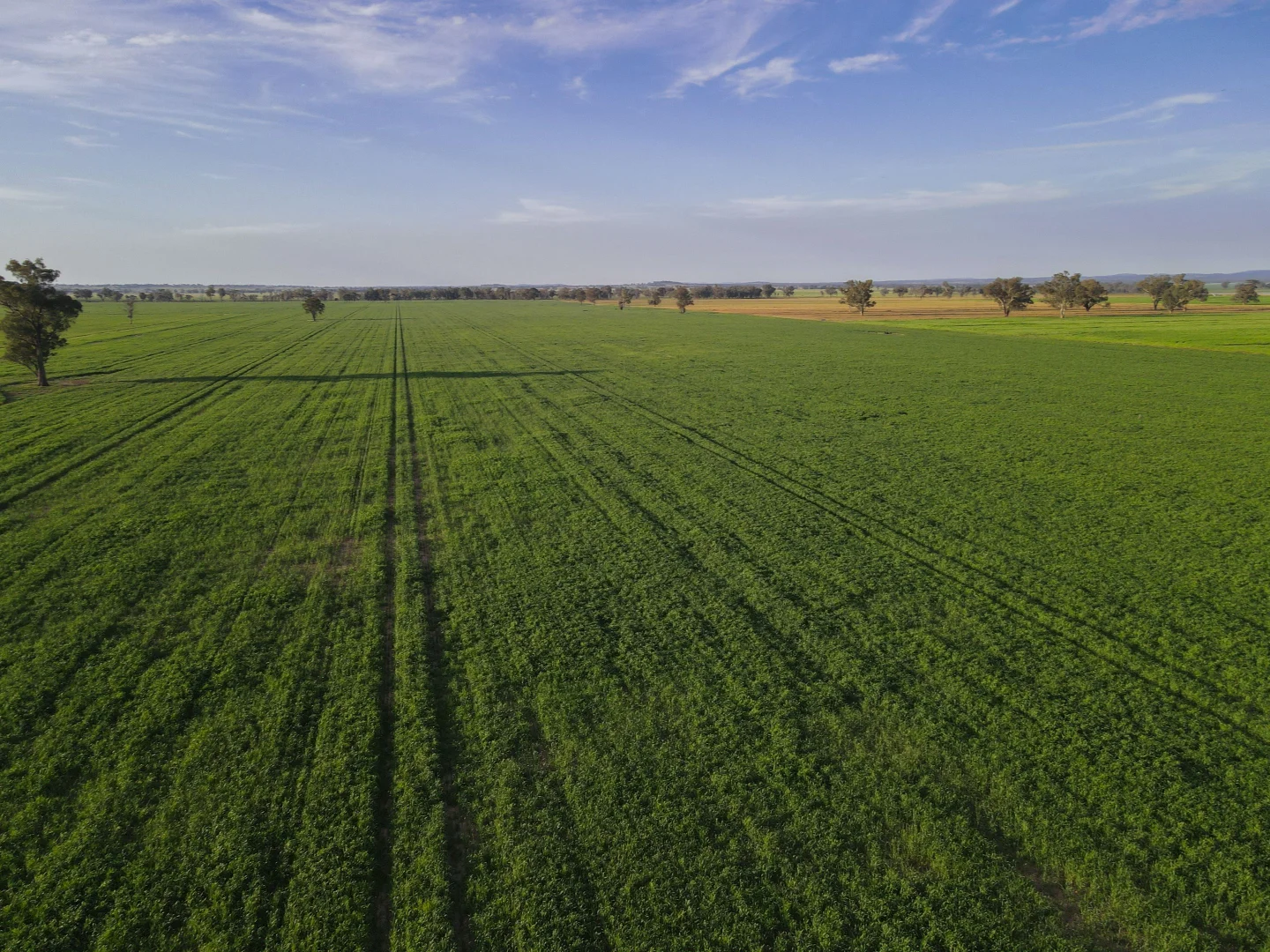 Additional image 16 of 11025 "Lima" The Escort Way, Forbes NSW 2871