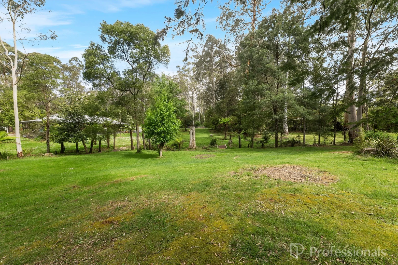 Additional image 16 of 15 Anglers Drive, East Warburton VIC 3799