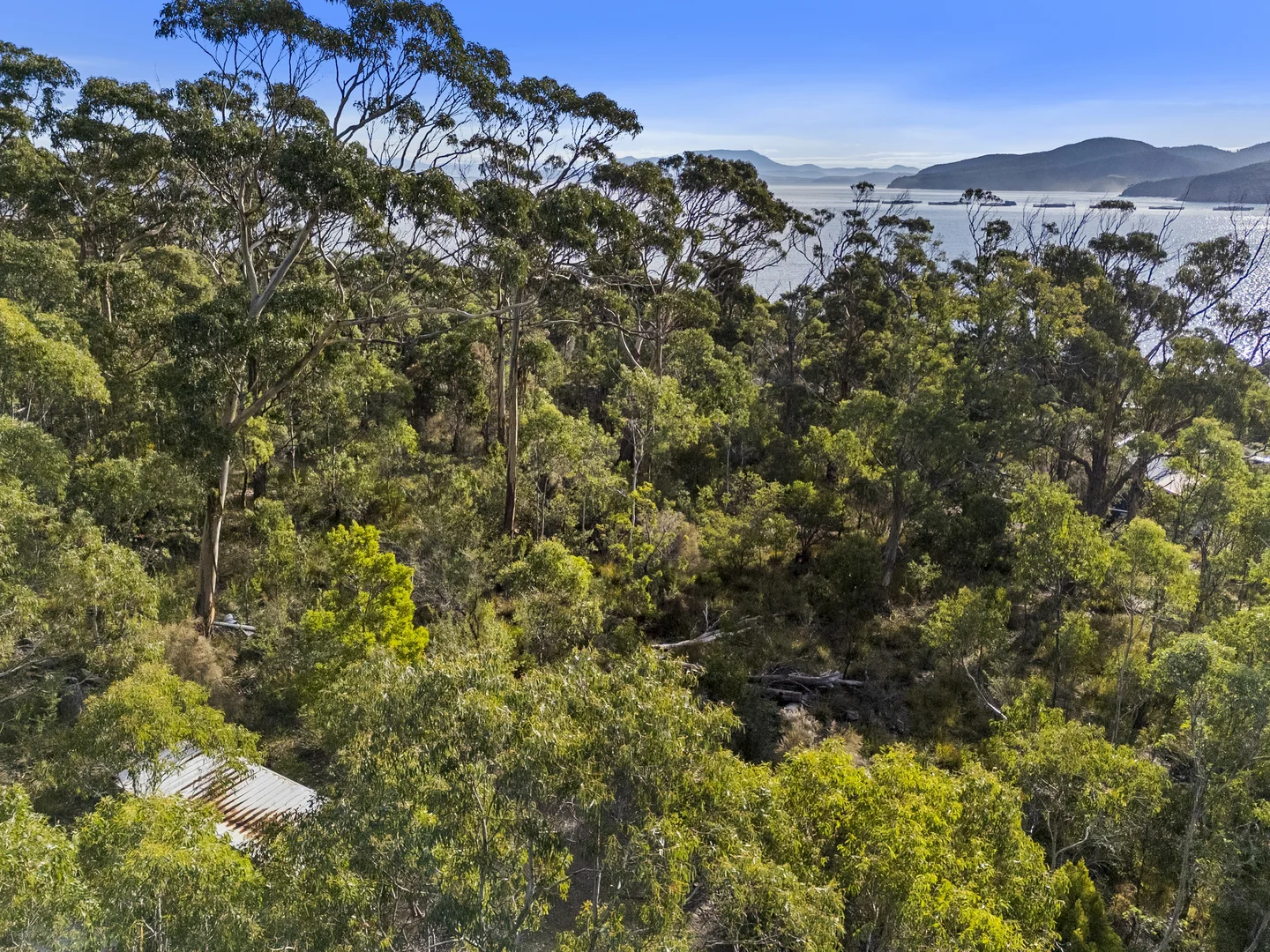 Additional image 7 of 573 White Beach Road, White Beach TAS 7184