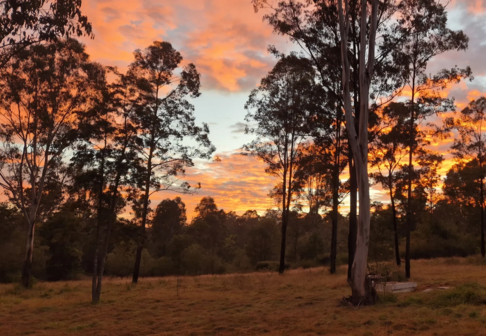 Additional image 21 of 306 Orara Road, Lanitza NSW 2460