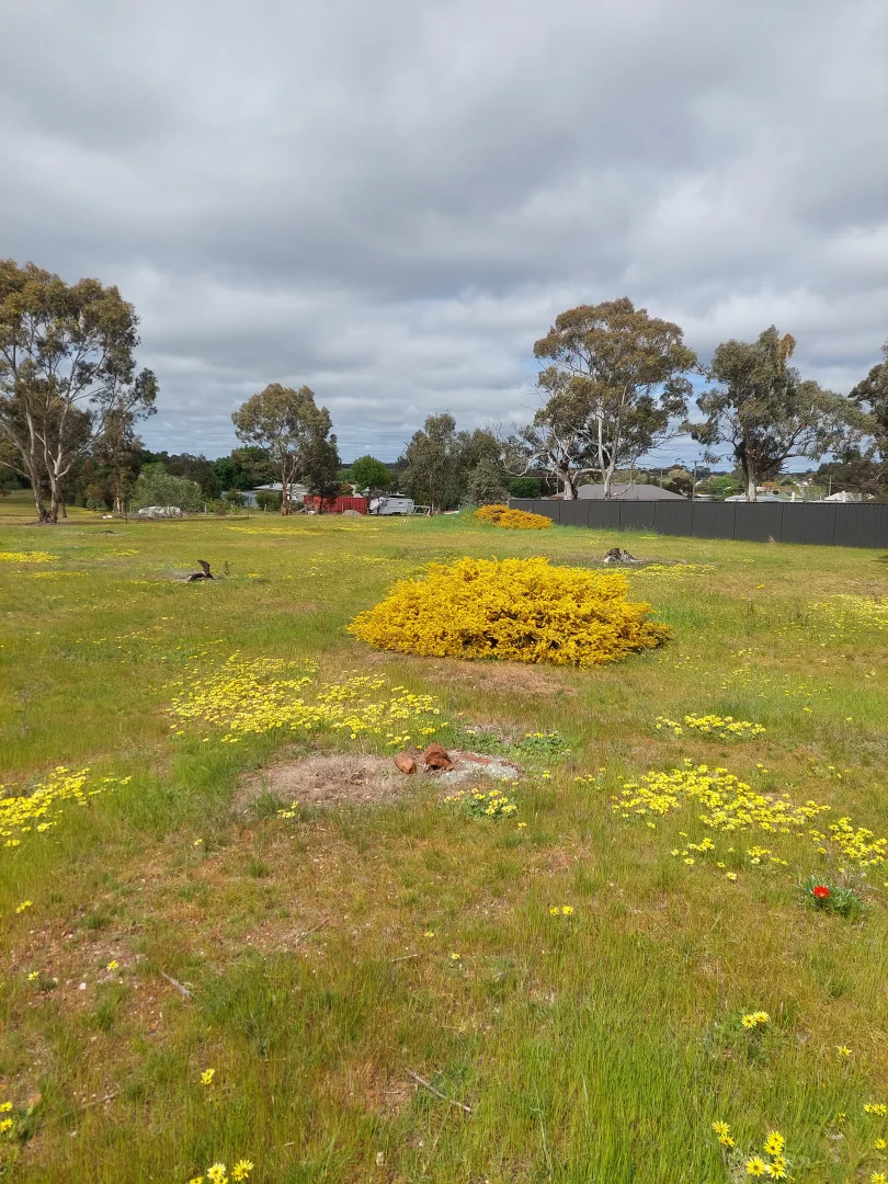 Additional image 5 of Lot 2/75 Southey Street, Inglewood VIC 3517