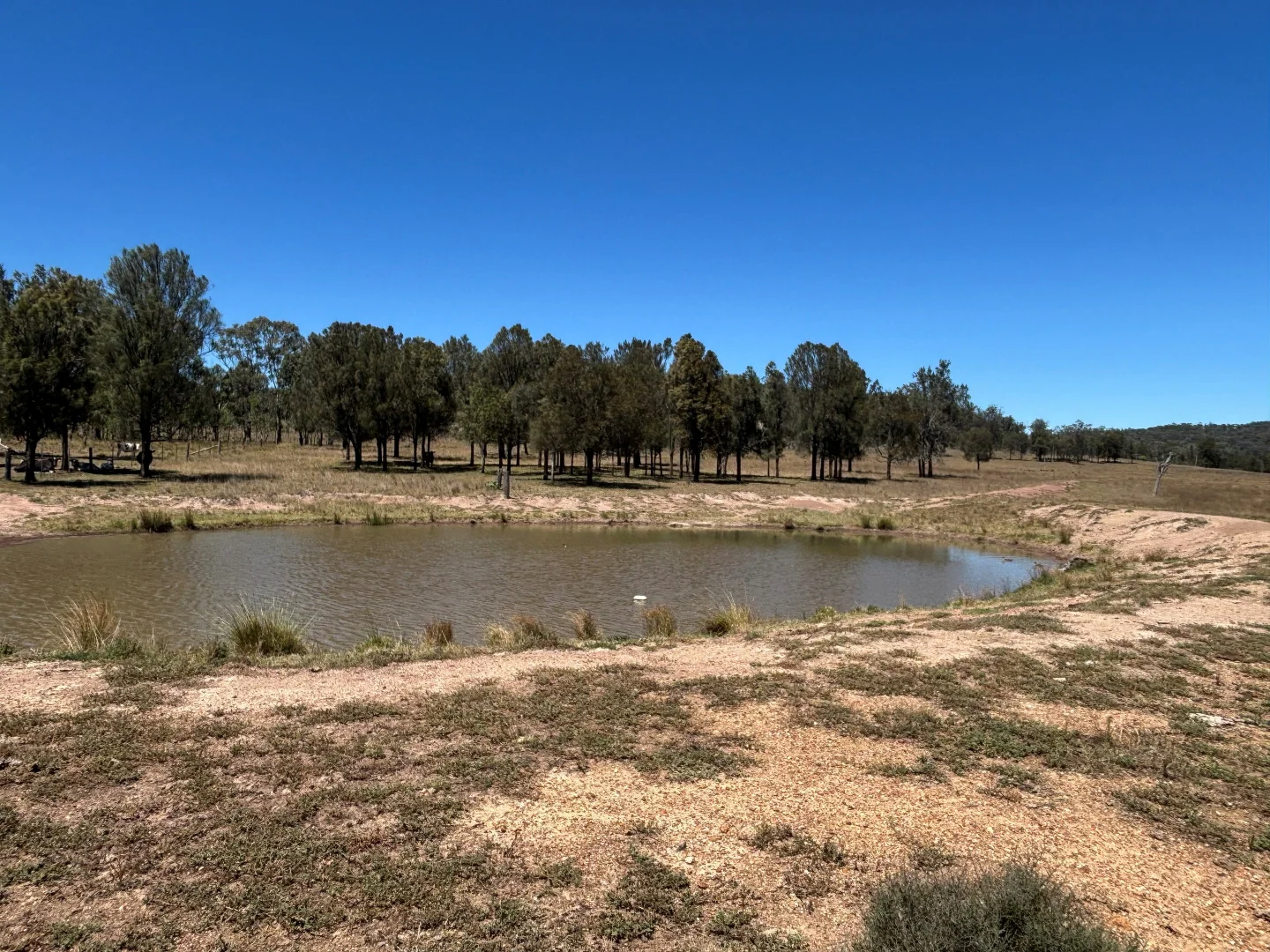 Additional image 4 of 2080 Bylong Valley Way, Baerami NSW 2333