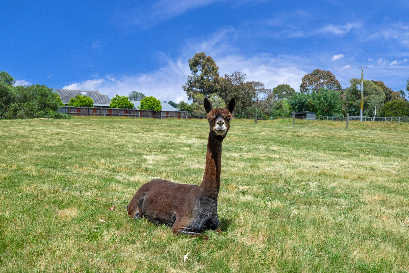 Additional image 20 of 131 Bungower Road, Somerville VIC 3912