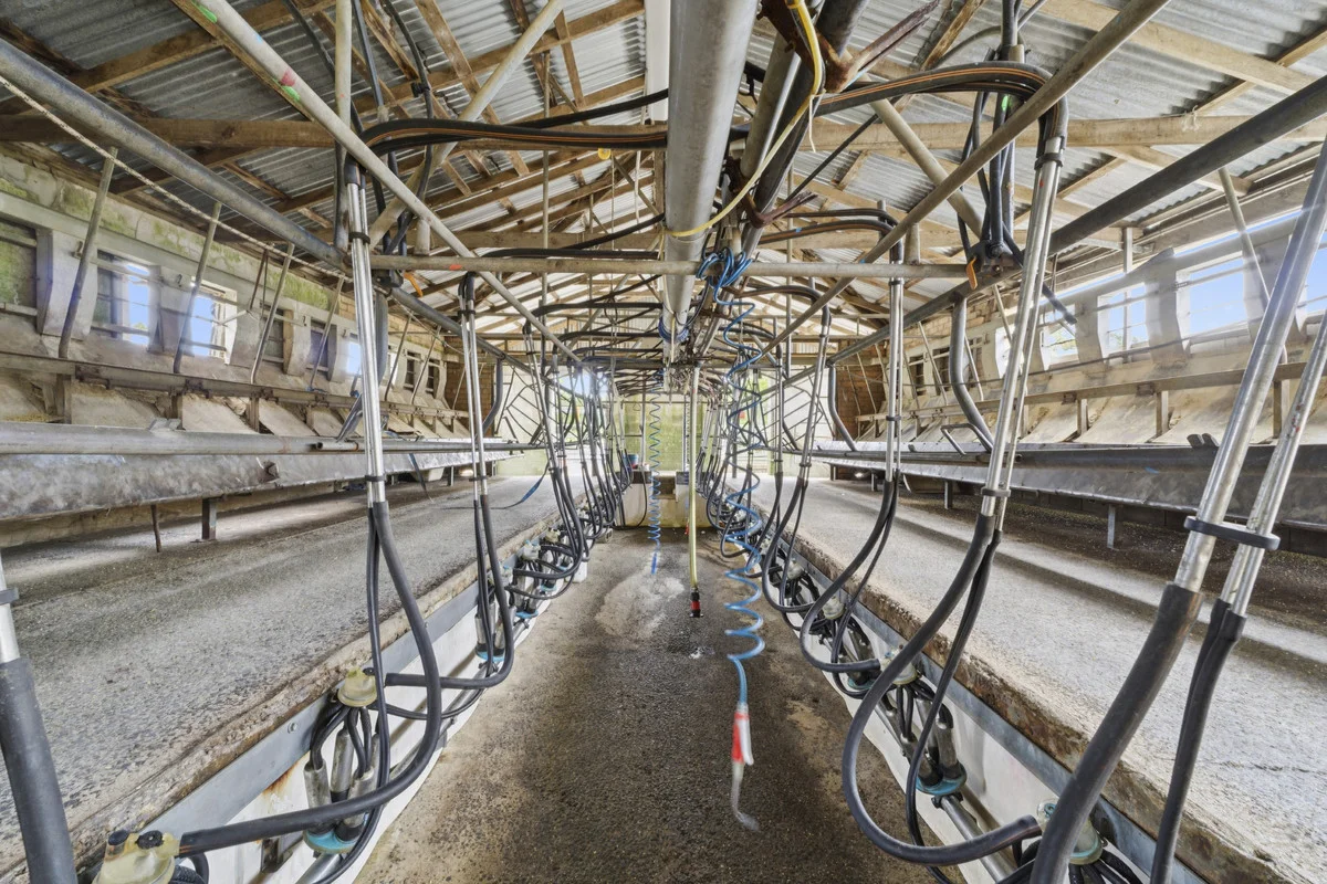 Additional image 33 of 2520 Carlisle Road, Carlisle River VIC 3239