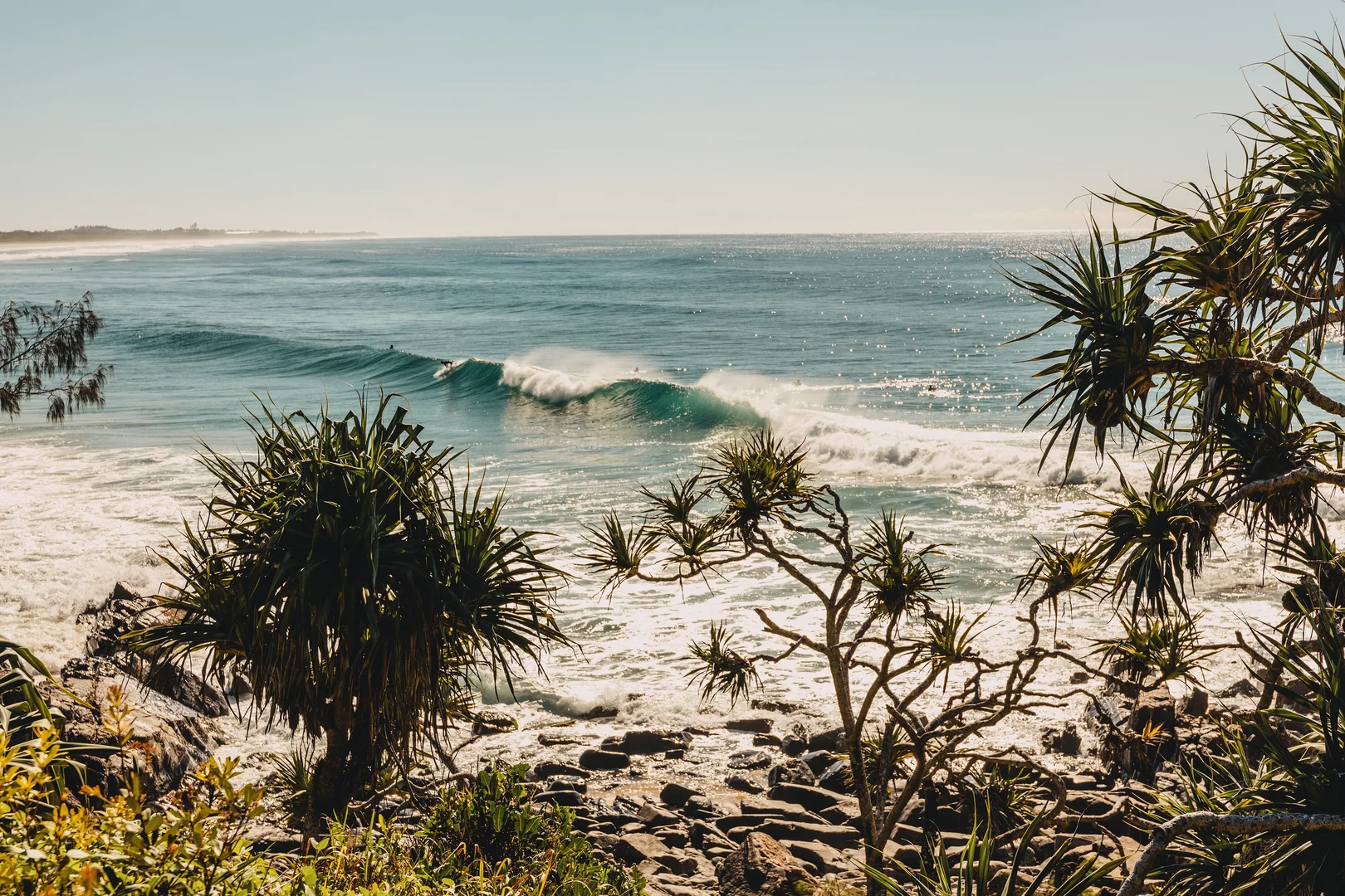 Additional image 22 of 002/10 Cypress Crescent, Cabarita Beach NSW 2488