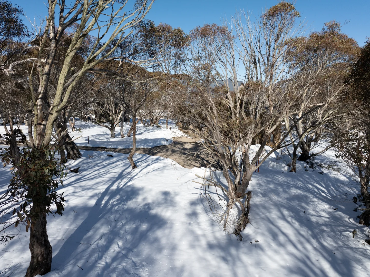 Additional image 3 of 8 Youngs Top, Dinner Plain VIC 3898