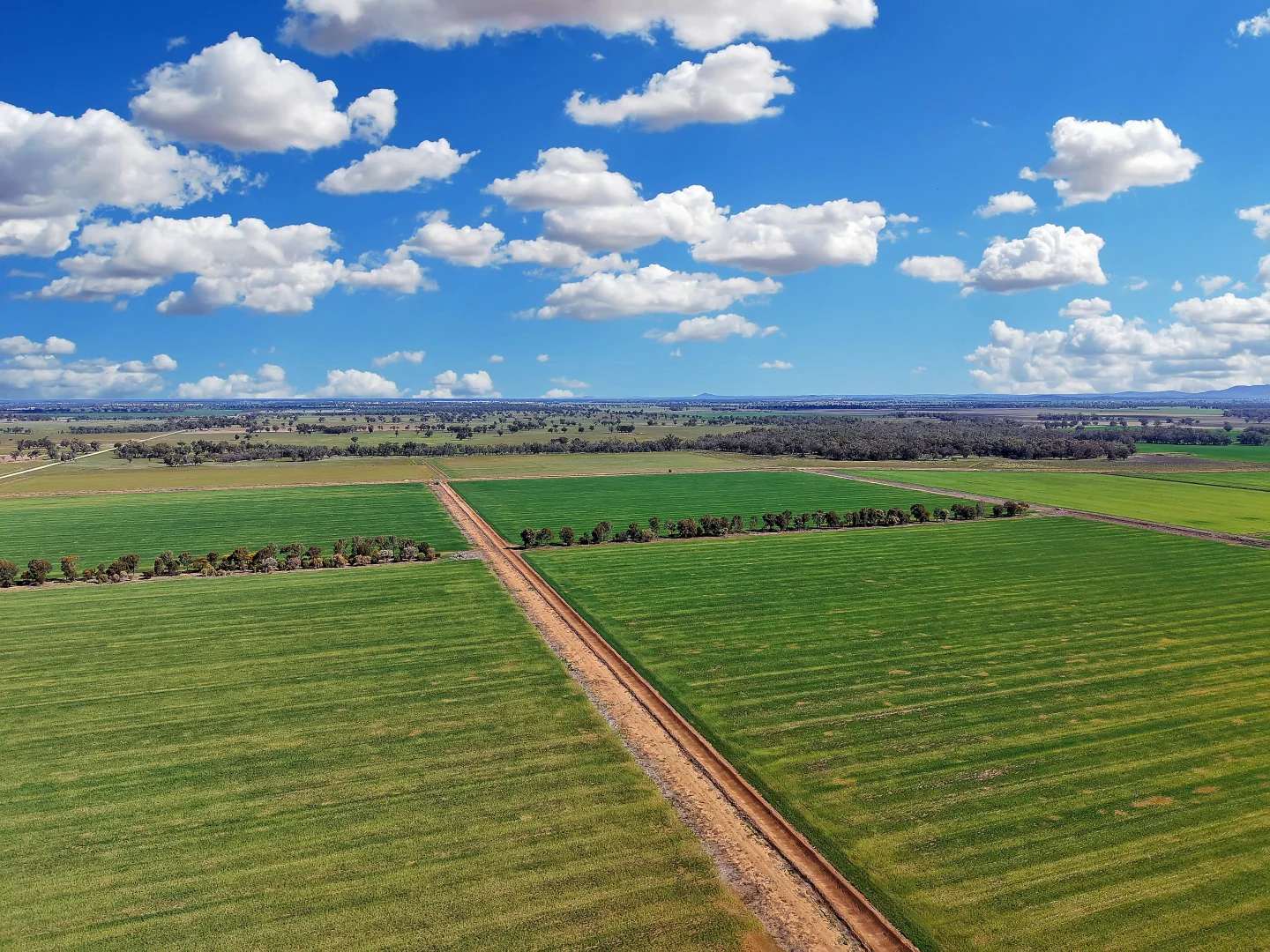 Additional image 25 of 4005 Lachlan Valley Way, Forbes NSW 2871