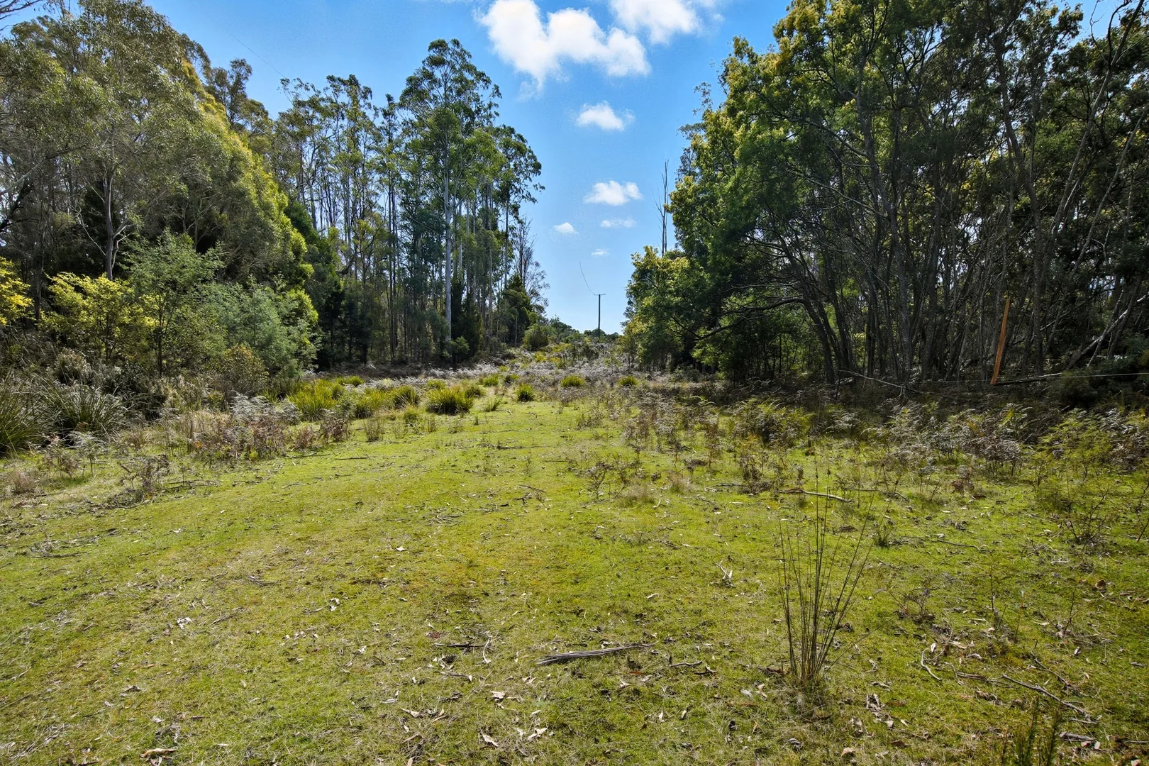 Additional image 4 of 28A Lorikeet Lane, Rosevale TAS 7292