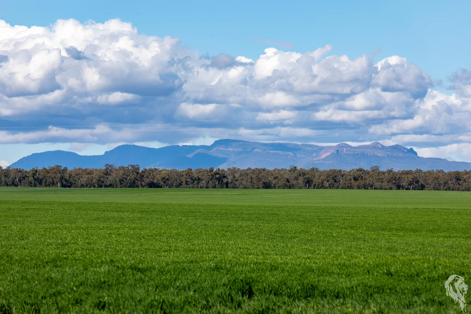 Additional image 15 of 13012 Newell Highway, Narrabri NSW 2390