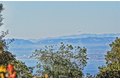 Additional image 5 of 1209 Granvia Altamira, Palos Verdes Estates, CA, 90274
