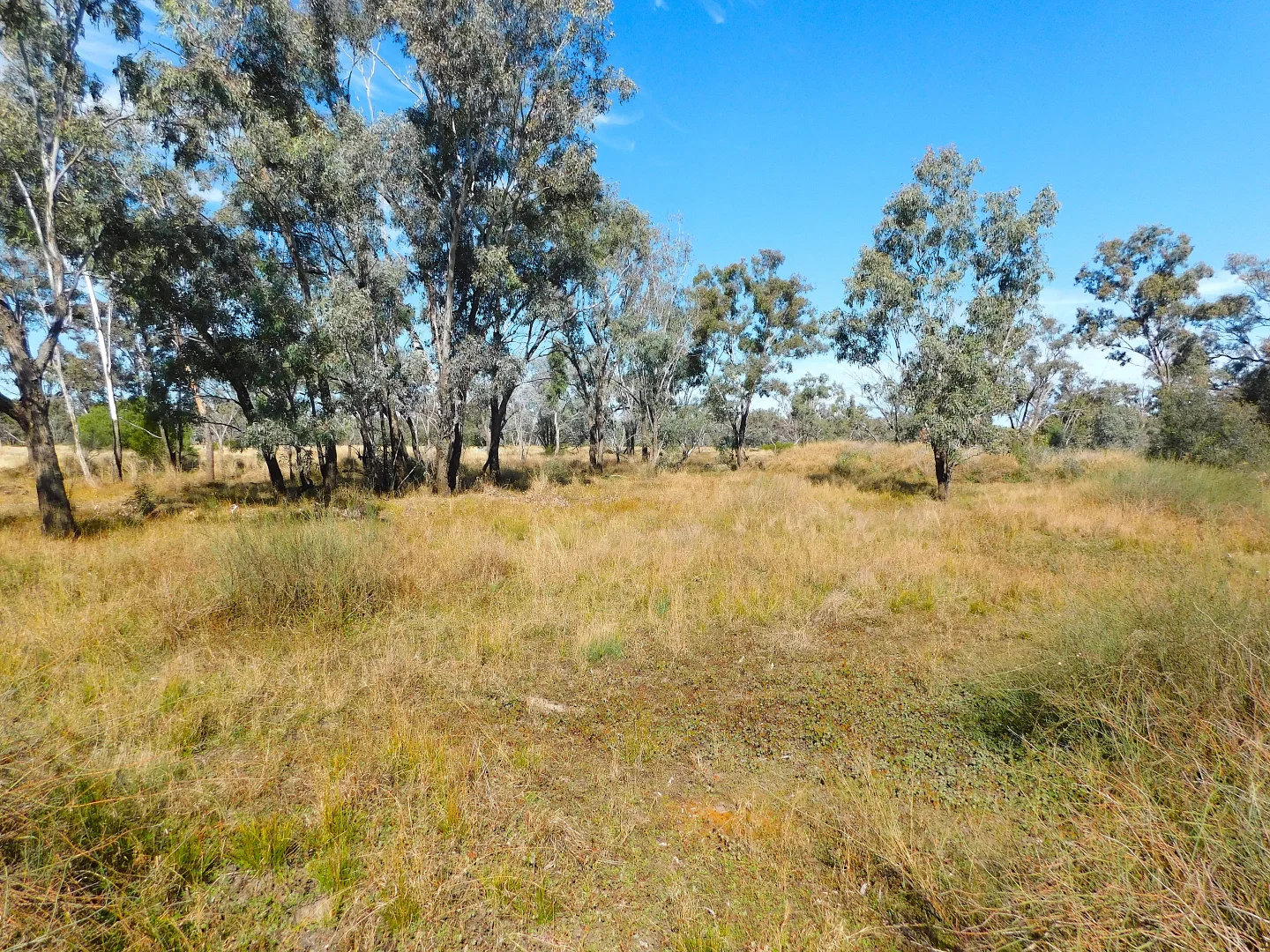 Additional image 18 of 0 Old Cunnamulla Road, Charleville QLD 4470