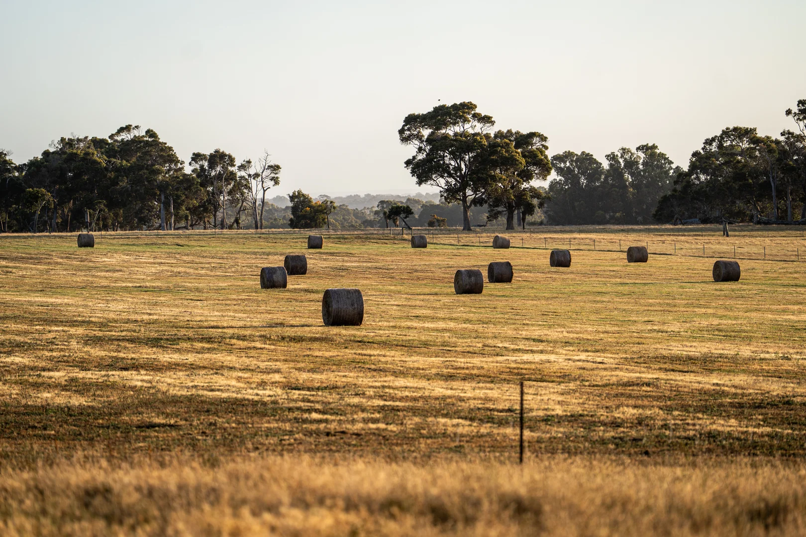 Additional image 17 of 89 Worgan Road, Metricup WA 6280