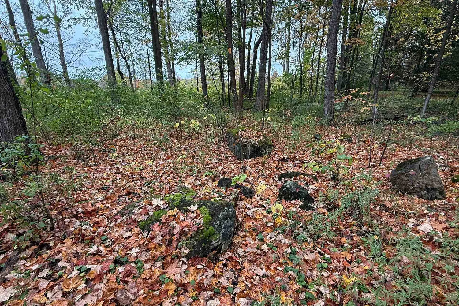 Additional image 16 of Lot 8 Green Acres Road