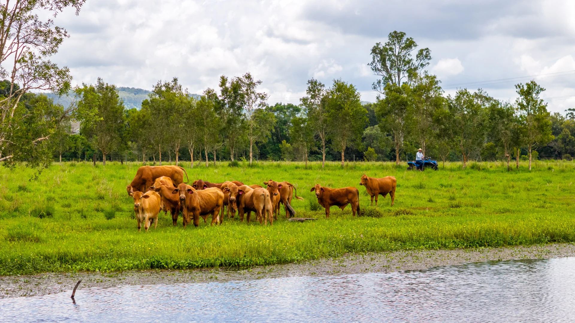 Additional image 5 of 6 Canando Street, Woodford QLD 4514