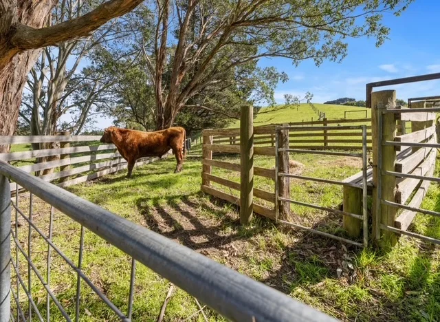 Additional image 12 of Lot 2/785 Foster - Mt Best Road, Mount Best VIC 3960