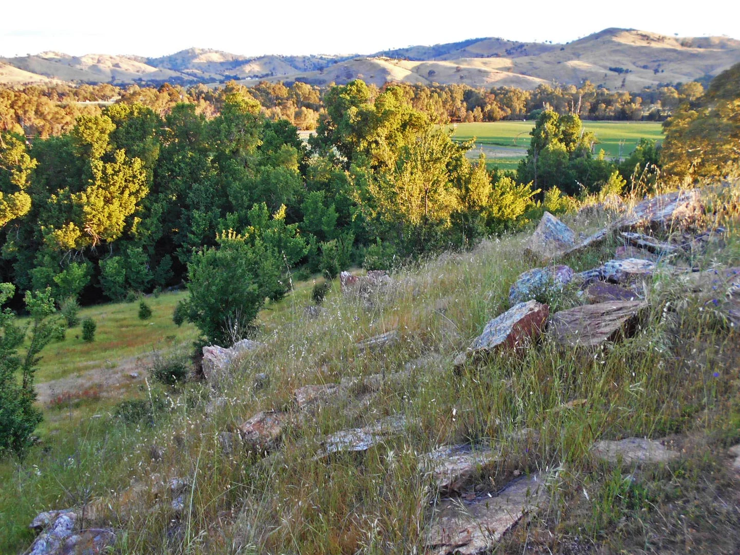 Additional image 21 of 30 Hanley & Moon Street, Gundagai NSW 2722