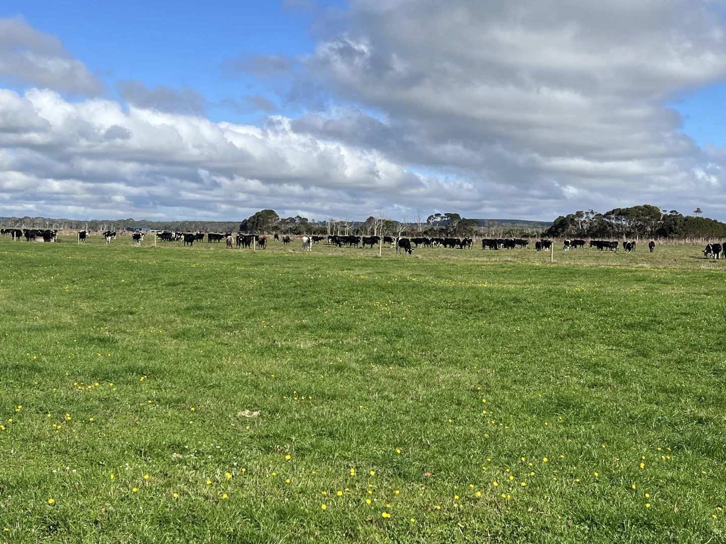 Additional image 23 of 129 & 131 Bens Hill Road, Montagu TAS 7330