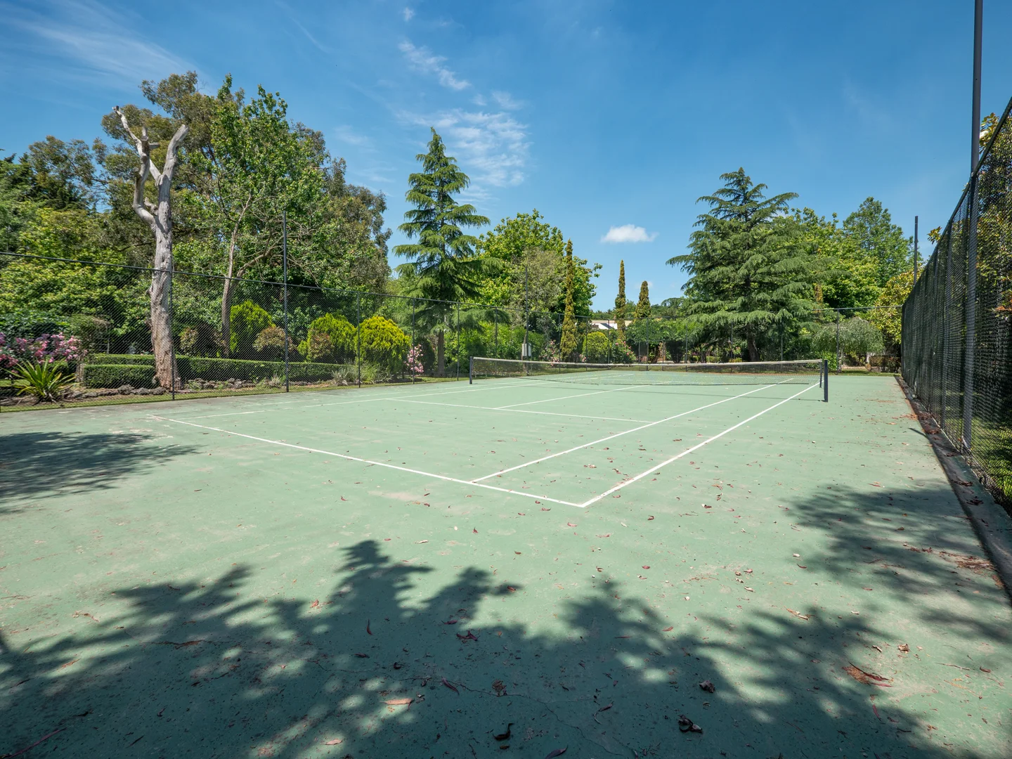 Additional image 39 of 60 Desmond Road, Wattle Bank VIC 3995