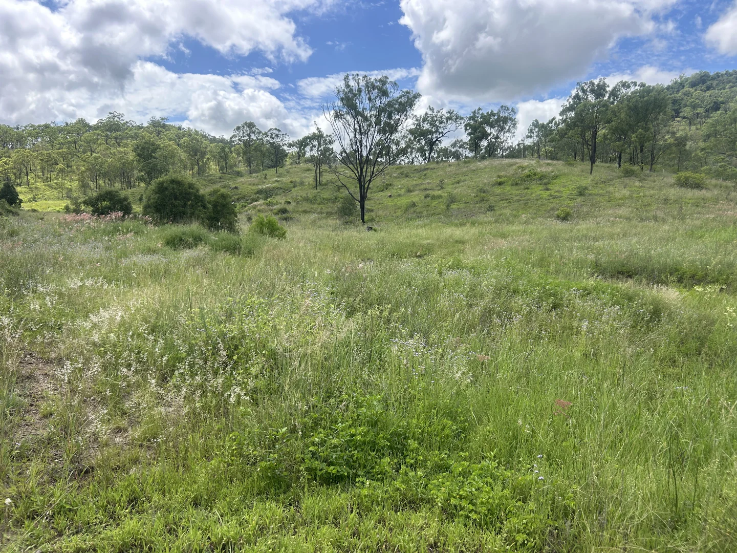 Additional image 7 of 789 Coppin Rd, Monto QLD 4630