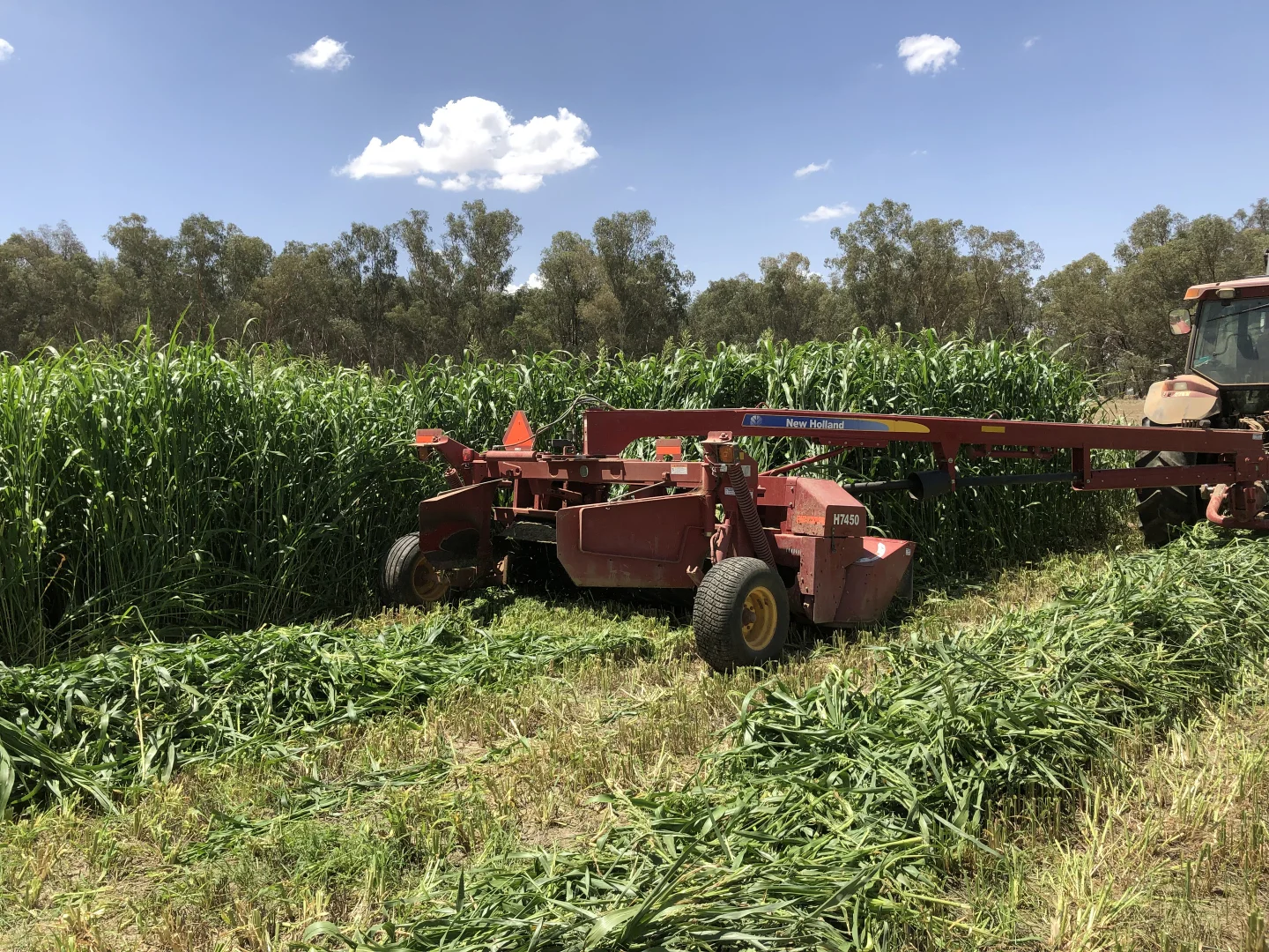 Additional image 9 of 4005 Lachlan Valley Way, Forbes NSW 2871