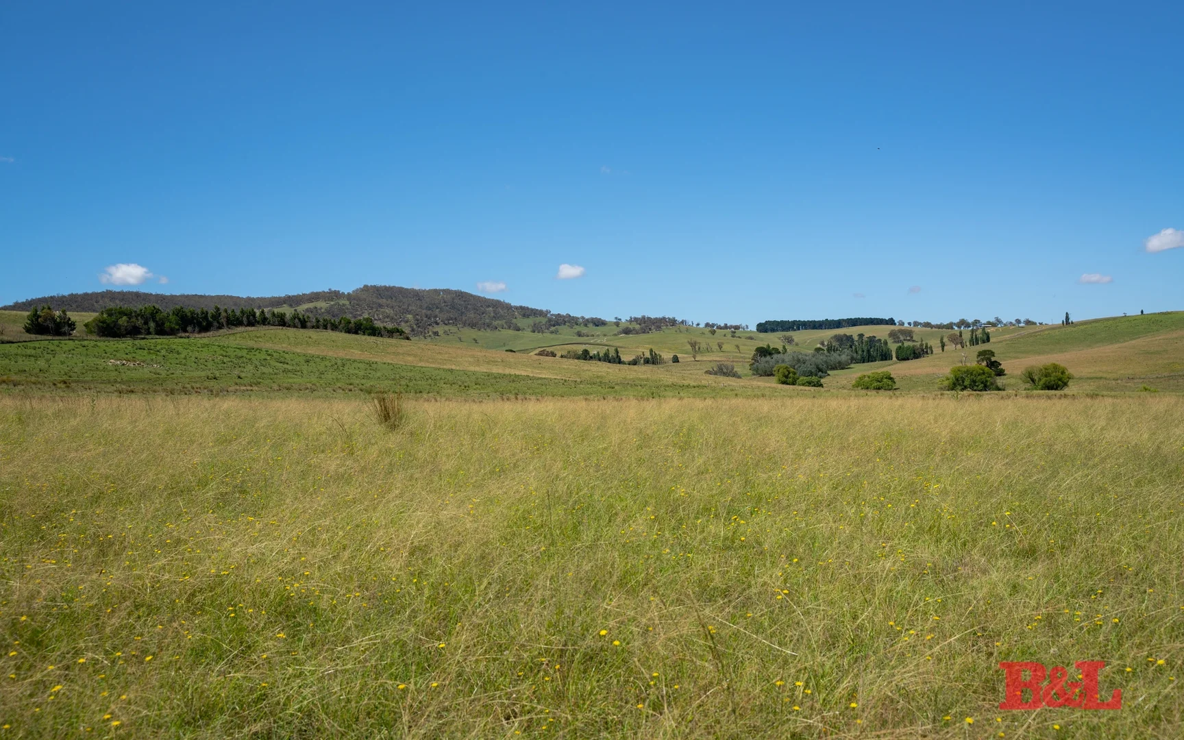 Additional image 19 of 976 Sodwalls Road, Sodwalls NSW 2790