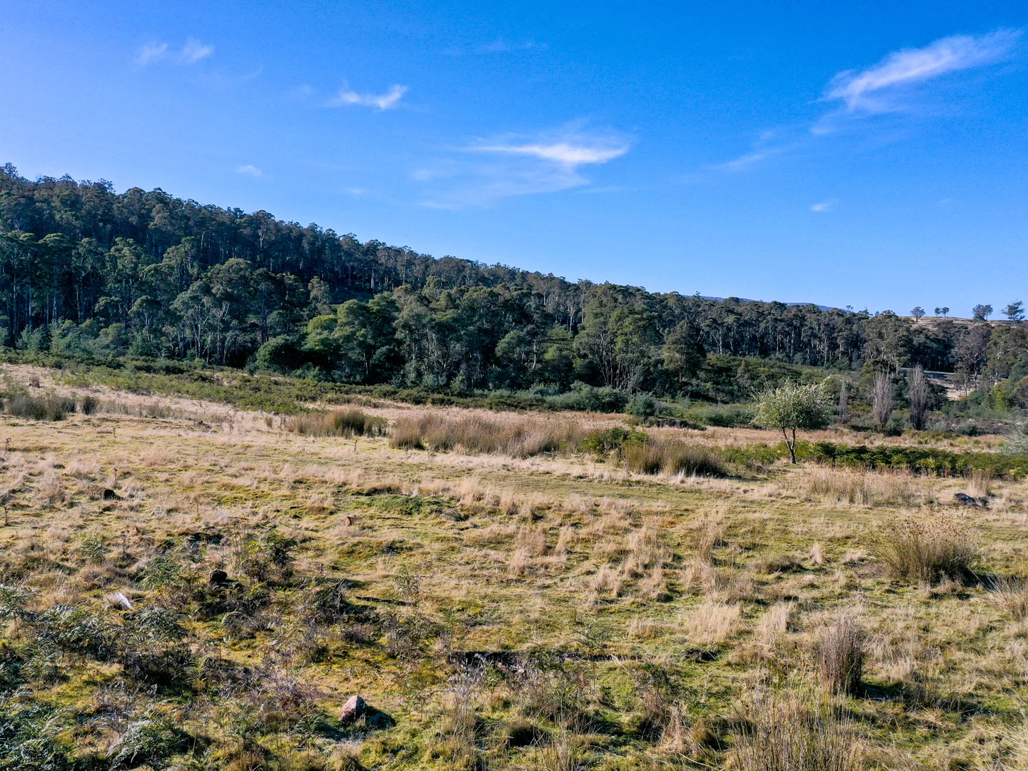 Additional image 8 of 172 Mcguires Marsh Road, Osterley TAS 7140