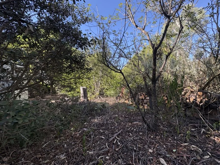 Additional image 8 of 90 Long Street, Warialda NSW 2402