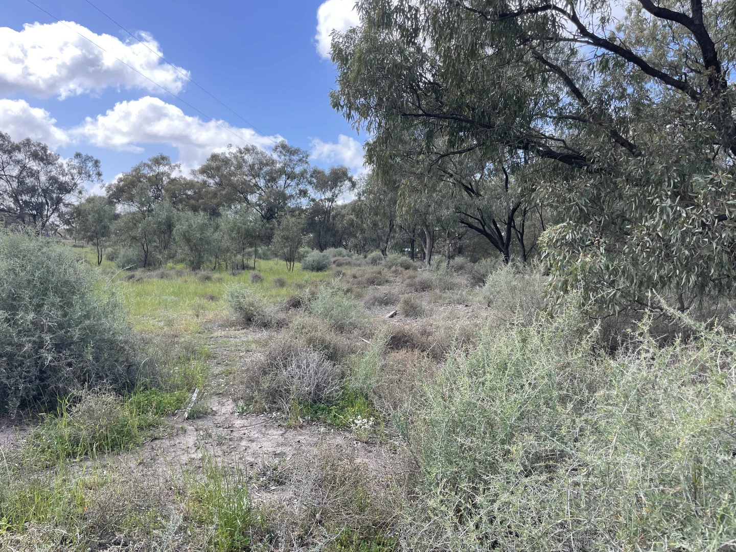 Additional image 6 of 'Fishers' 174 Balranald Road, Moulamein NSW 2733