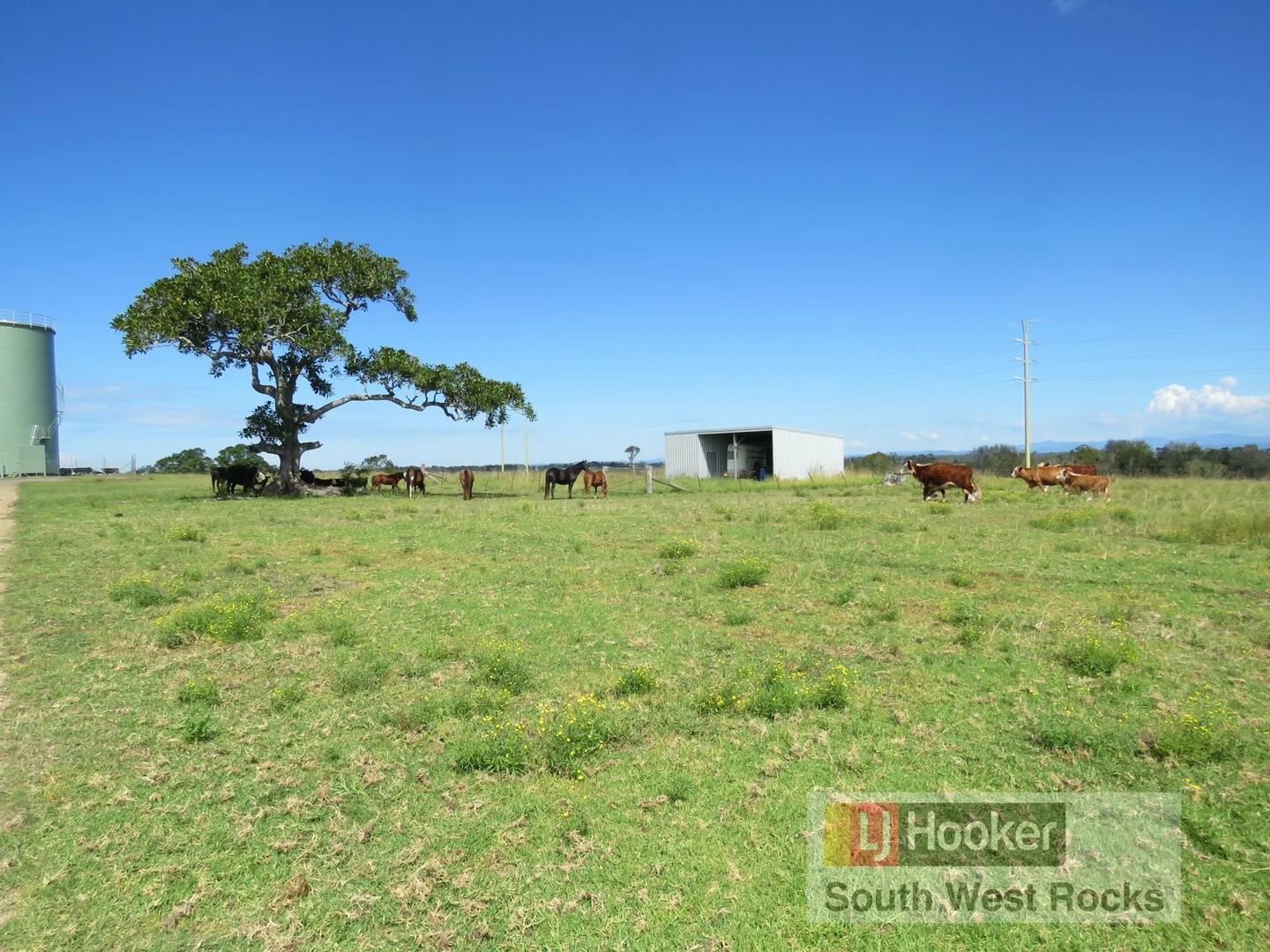 Additional image 38 of 2149 Macleay Valley Way, Clybucca NSW 2440