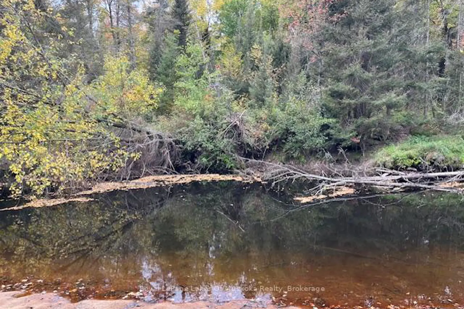 Additional image 4 of 121 Proudfoot Road