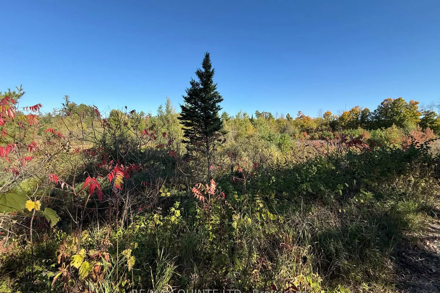 Additional image 2 of 0 Price Road