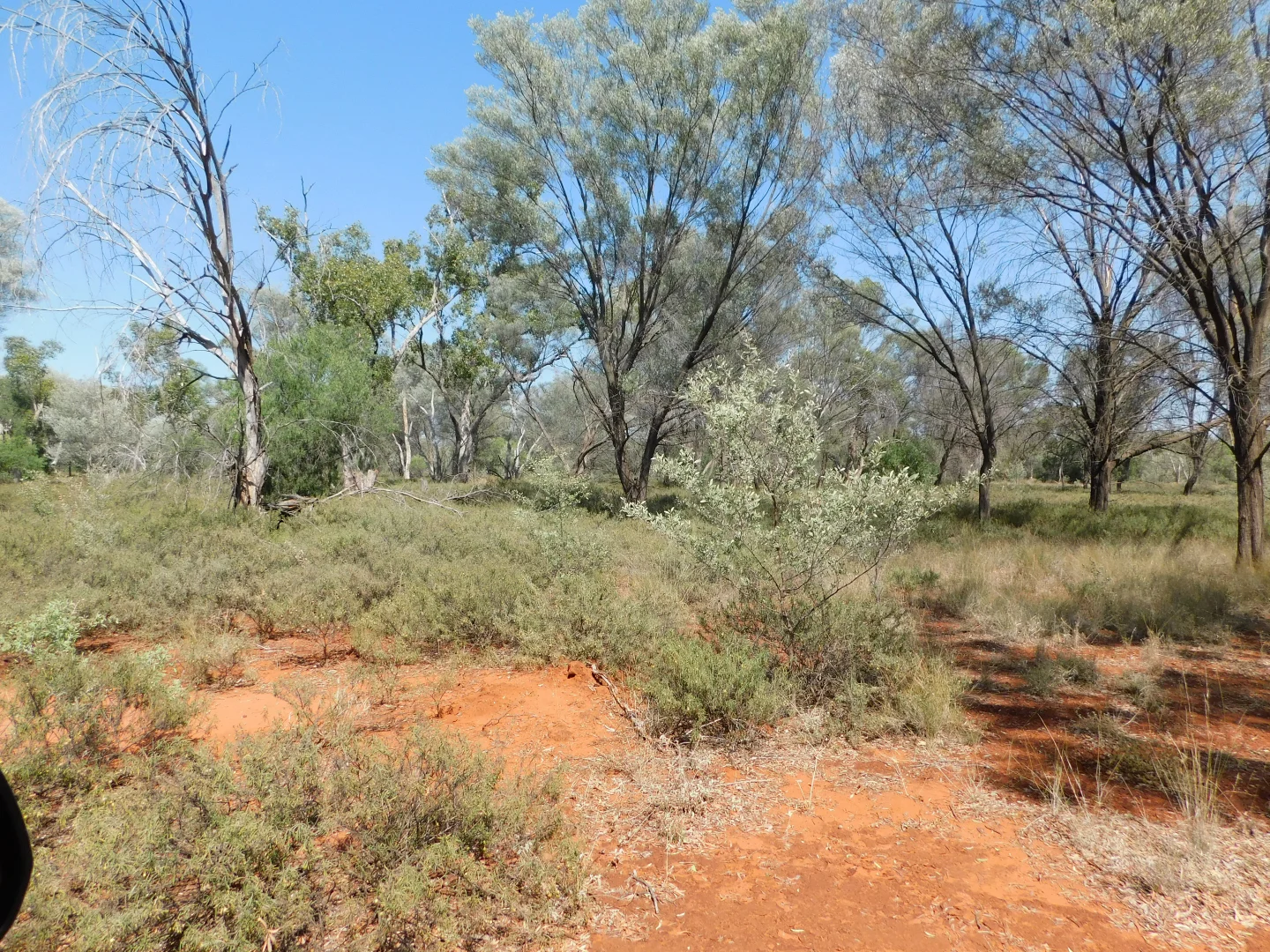 Additional image 4 of Lot 5 Mitchell Highway, Charleville QLD 4470