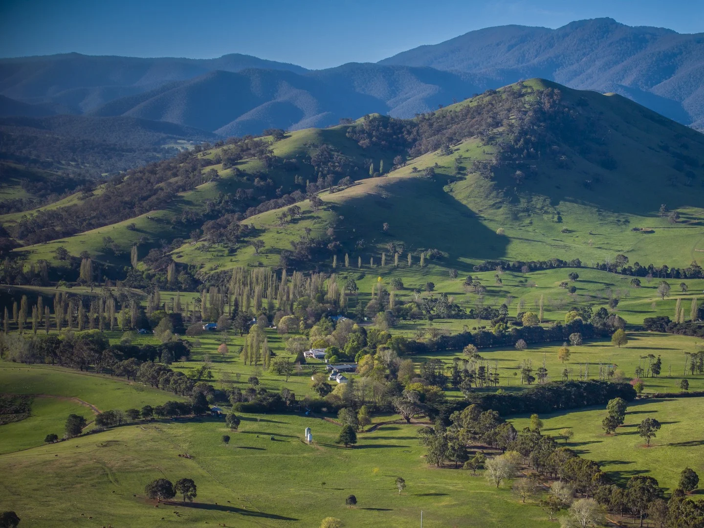 1578 Bindi Road, Bindi VIC 3896