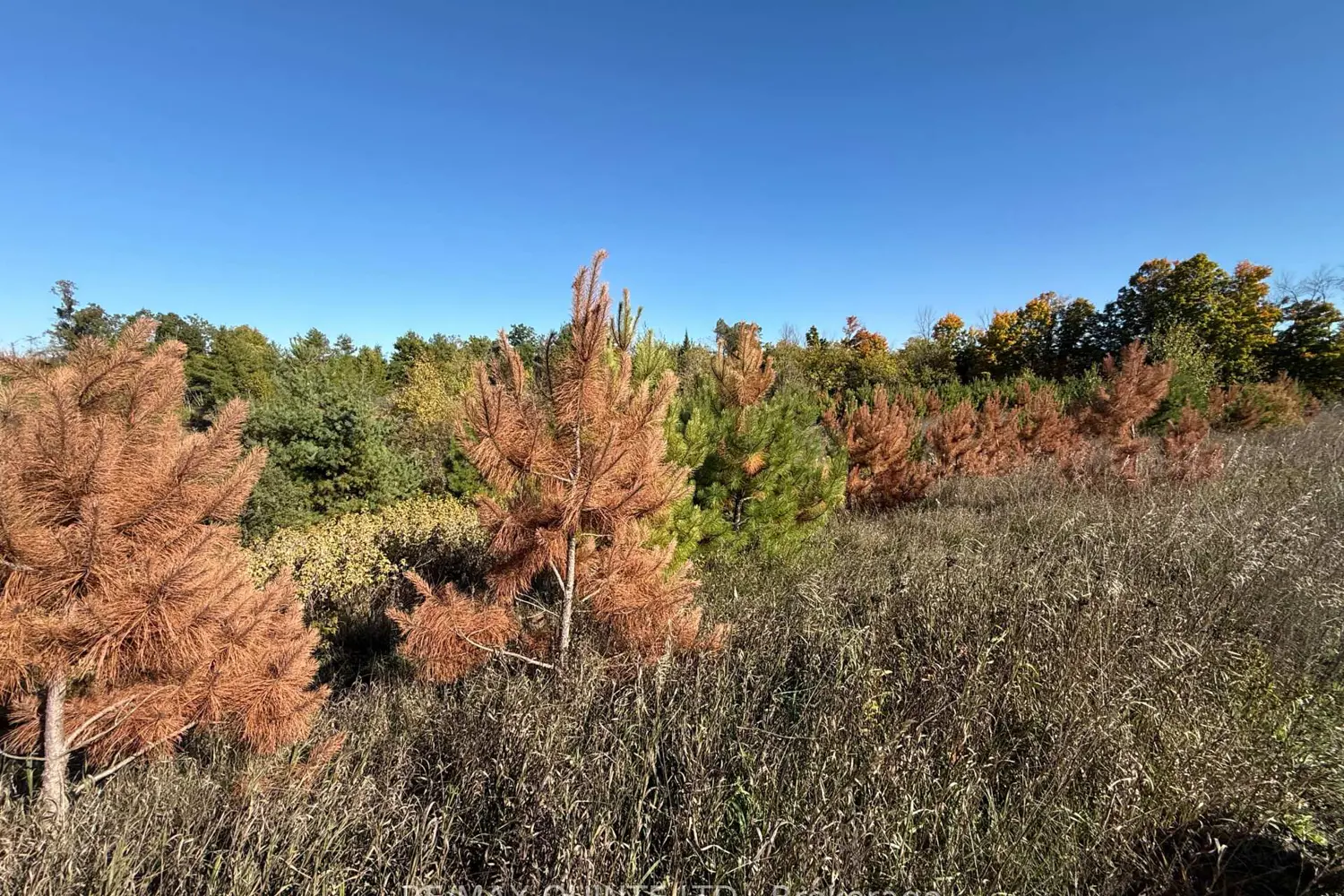 Additional image 3 of 0 Price Road