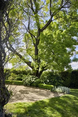 Additional image 33 of 11 Mona Street, Battery Point TAS 7004