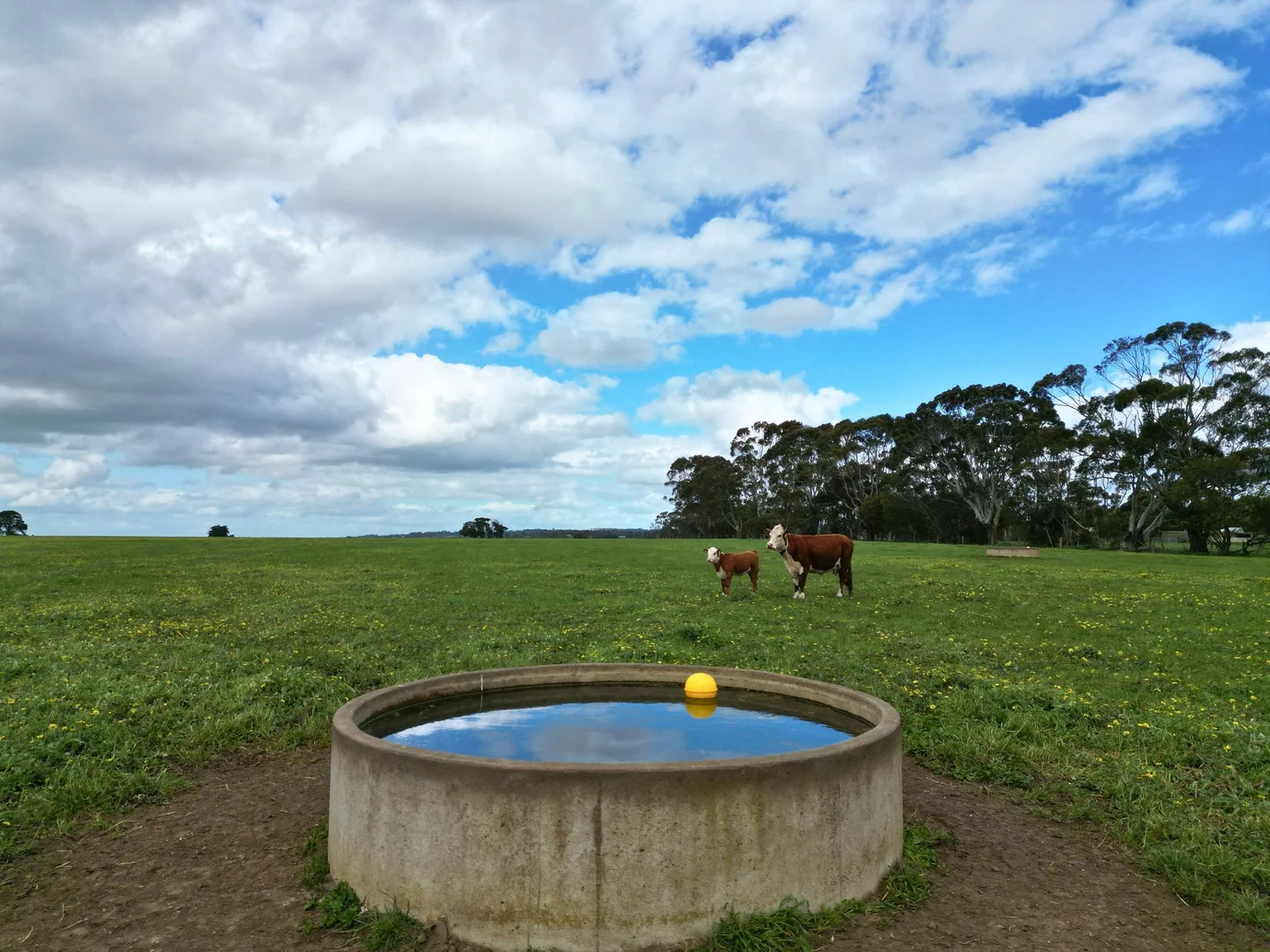 Additional image 5 of 1075 Larpent Road, Larpent VIC 3249