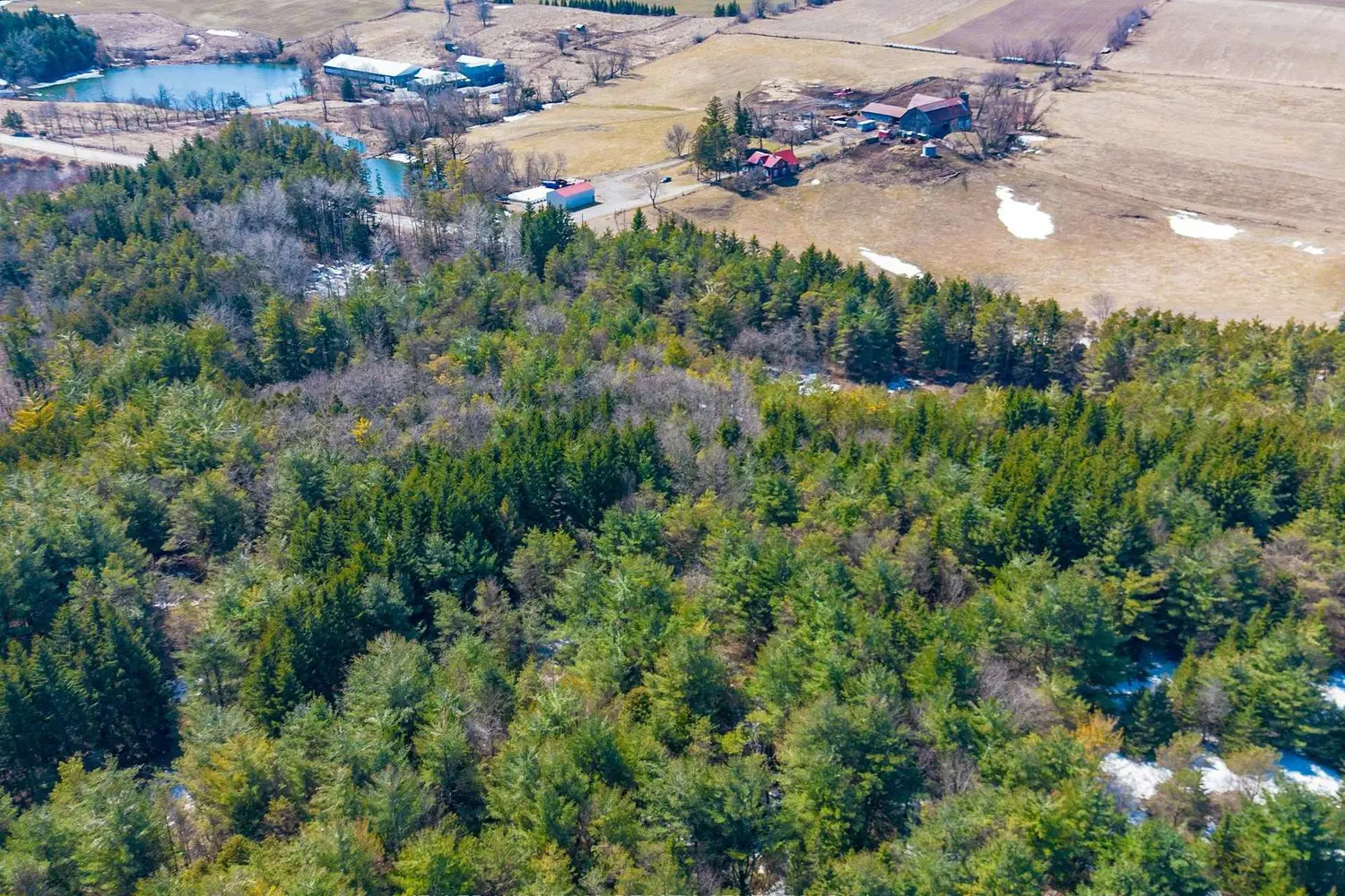 Additional image 17 of Tba Concession Rd 2