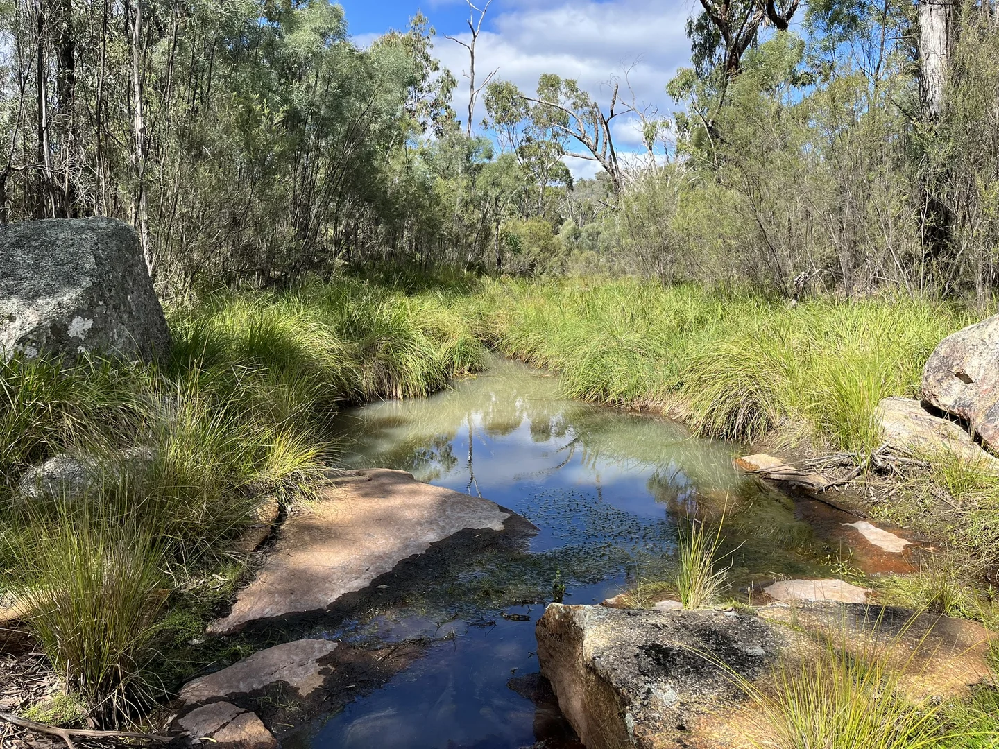 Additional image 23 of Pretty Gully Bendemeer Road, Kingstown NSW 2358
