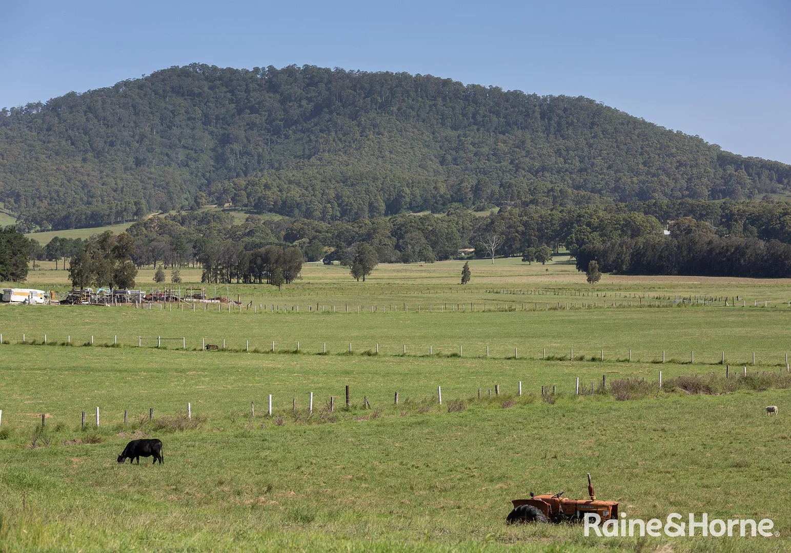 Additional image 26 of 439 Coolangatta Road, Far Meadow NSW 2535