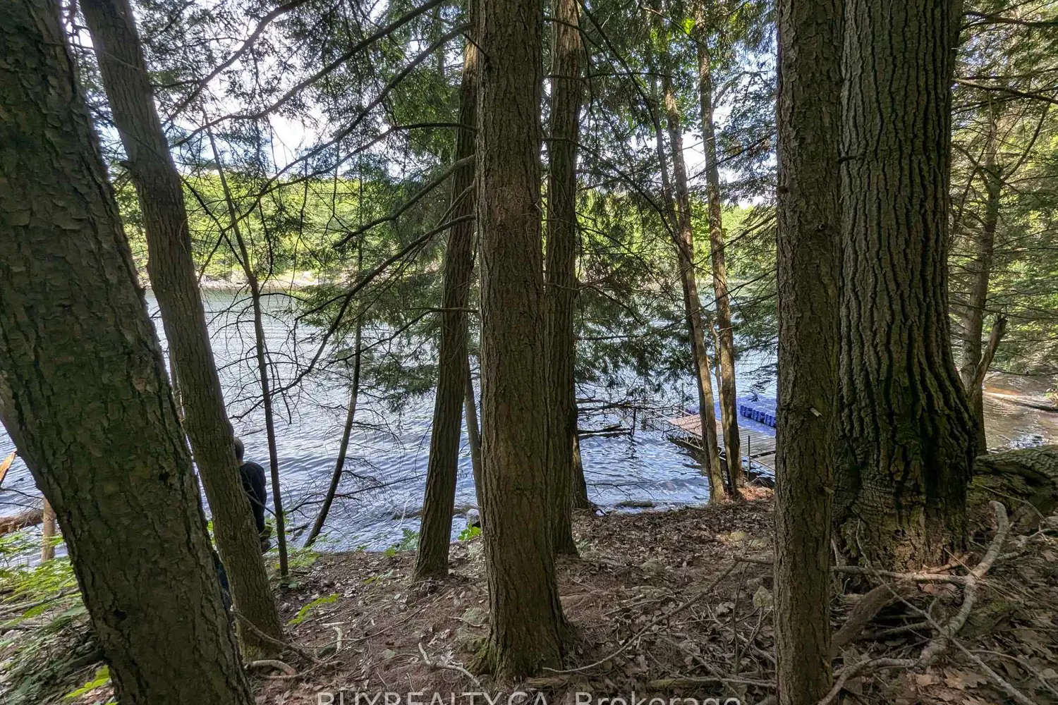 Additional image 9 of 2318 Sherwood Forest Lane