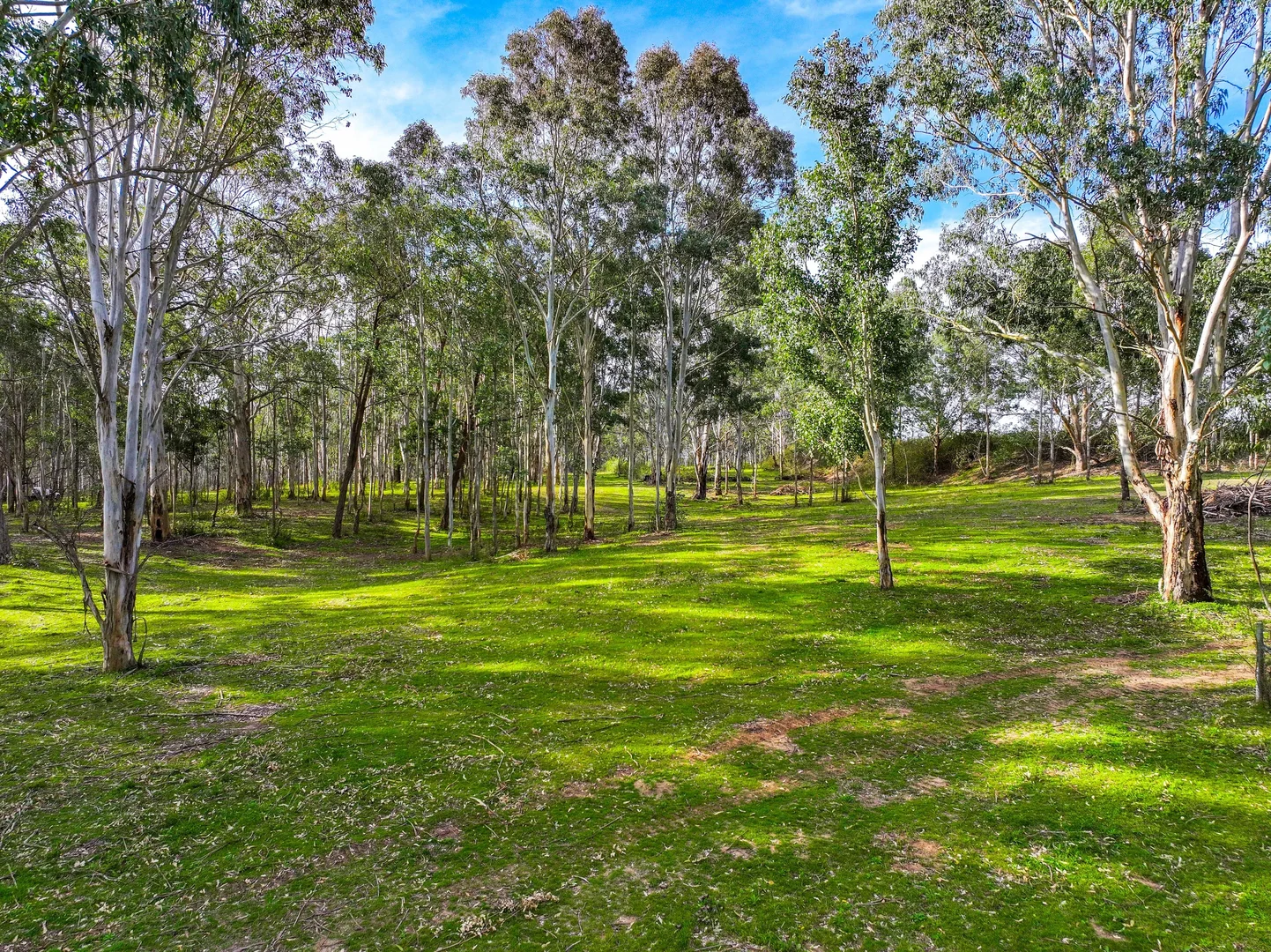 Additional image 7 of 61a - 69a James Street, Wallacia NSW 2745