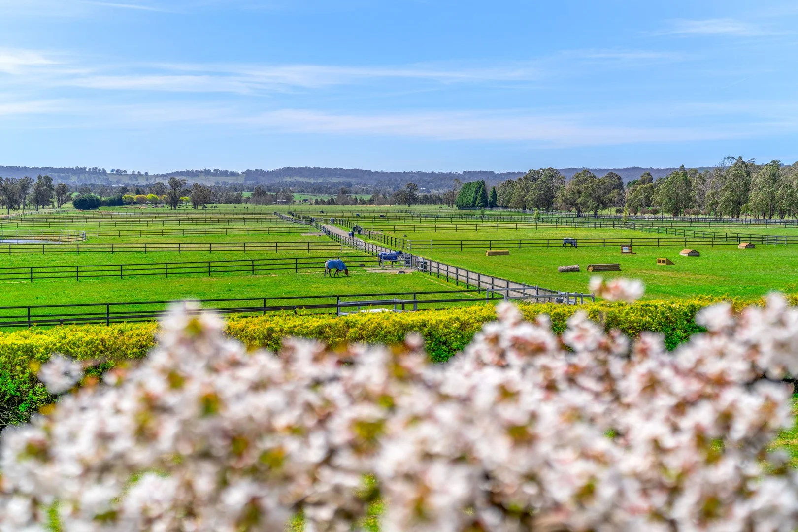 Additional image 2 of 366 Headlam Road, Moss Vale NSW 2577