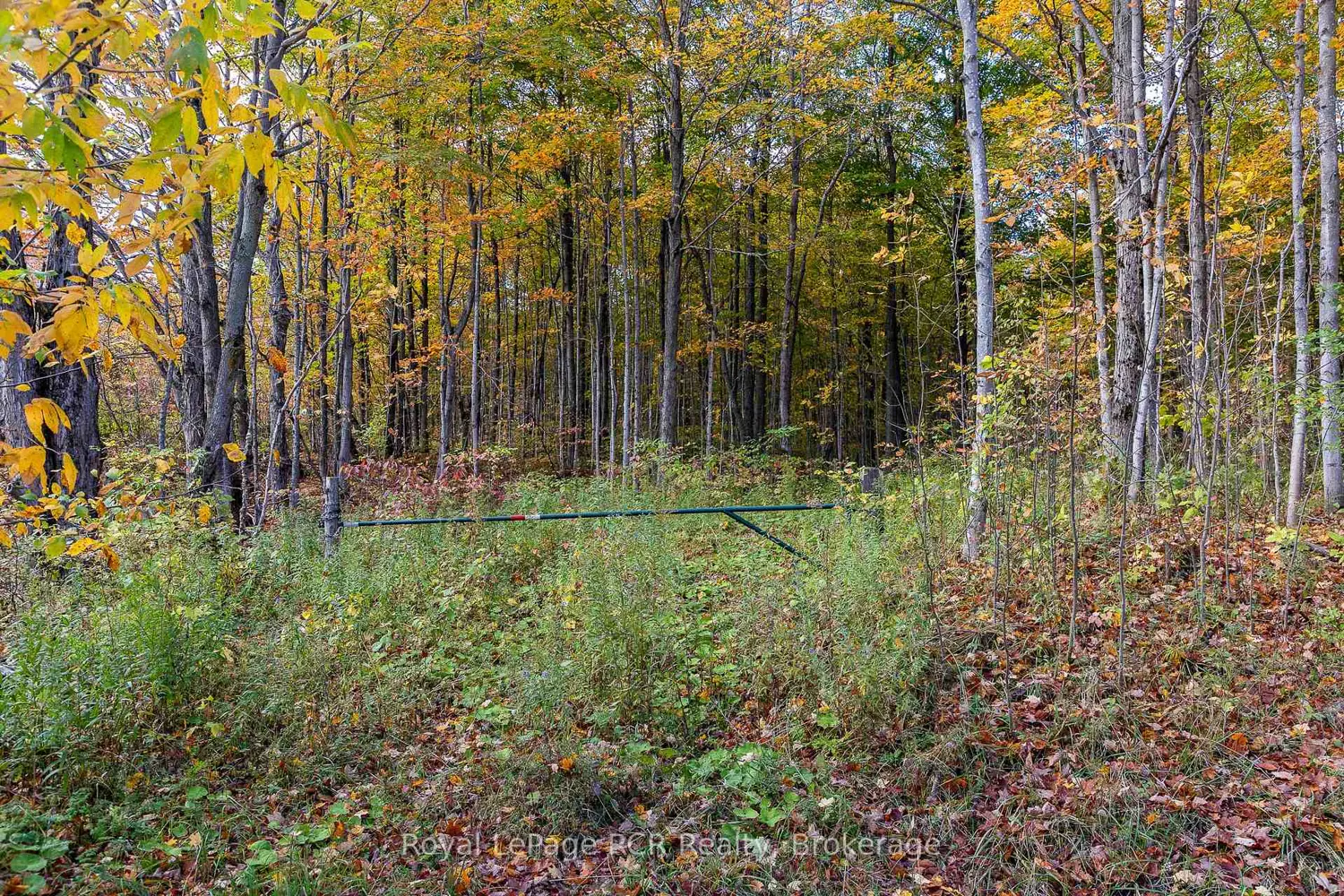 Additional image 4 of 00 9Th Line