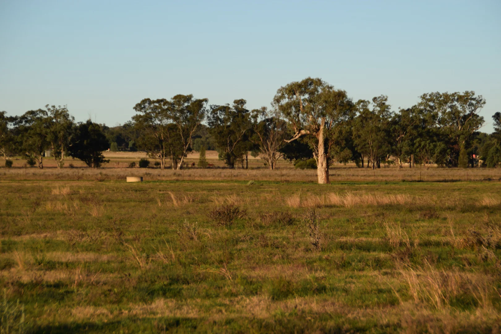 Additional image 23 of 'Westdale' 169L Narromine Road, Dubbo NSW 2830