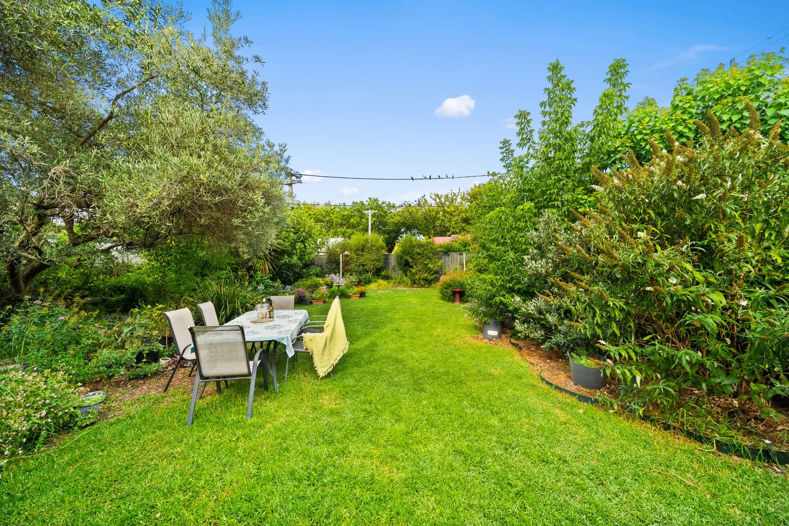 Additional image 30 of 19 Arunta Street, Narrabundah ACT 2604