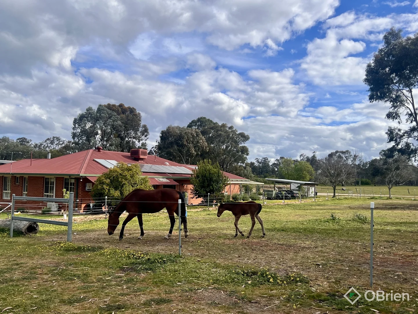 Additional image 35 of 111 Everitt Road, Peechelba VIC 3678