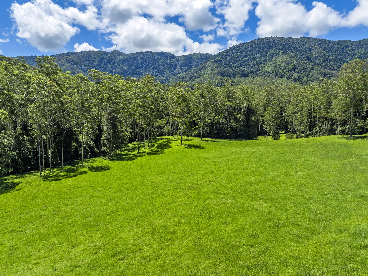 Additional image 6 of 650 Darkwood Road, Thora NSW 2454