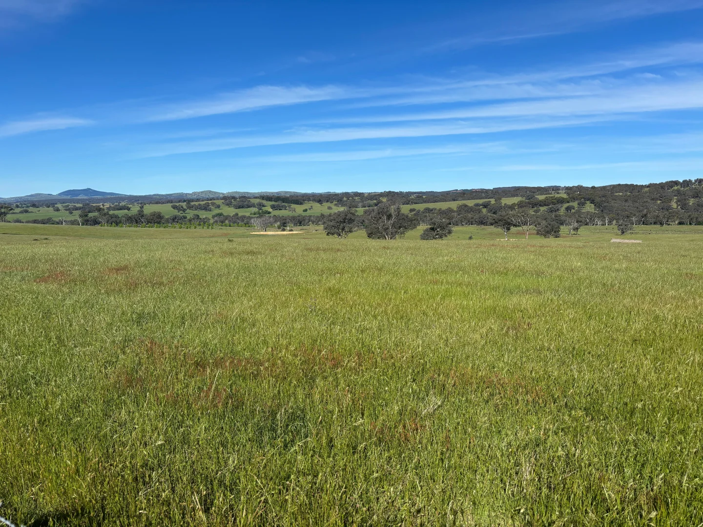 Additional image 23 of 1050 Garland Road, Garland NSW 2797